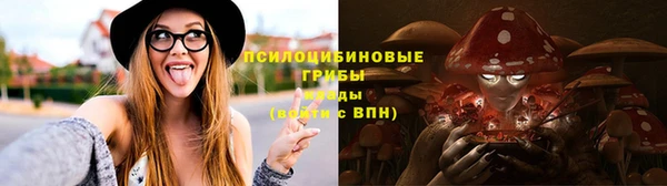 эйфоретик Пересвет