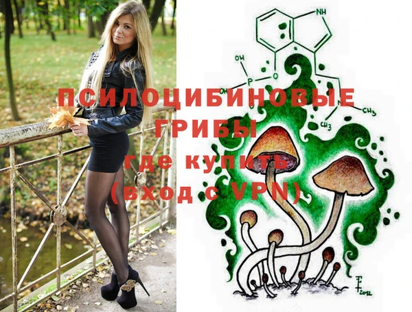 дживик Пестово