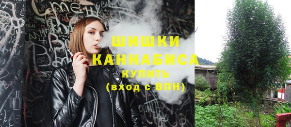 дживик Пестово