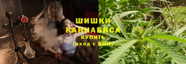 дмт Переславль-Залесский