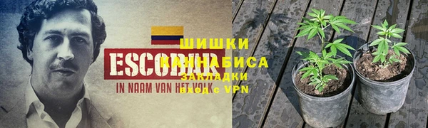 первитин Осташков