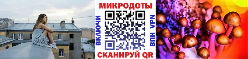 Псилоцибиновые грибы Psilocybine cubensis  OMG ССЫЛКА  Новая Ляля 